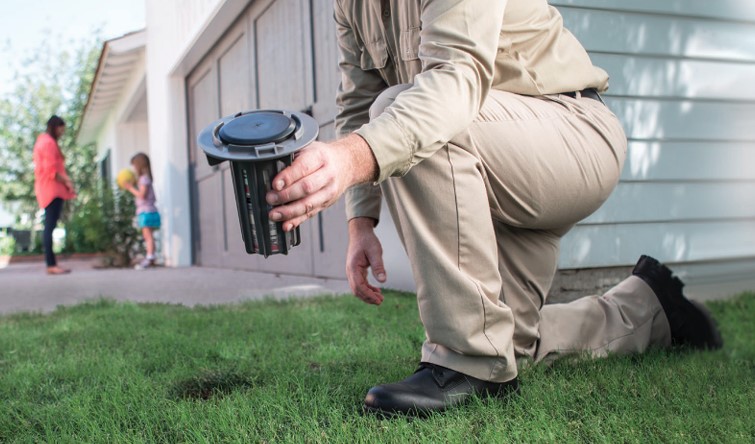 Trelona termite bait station being installed